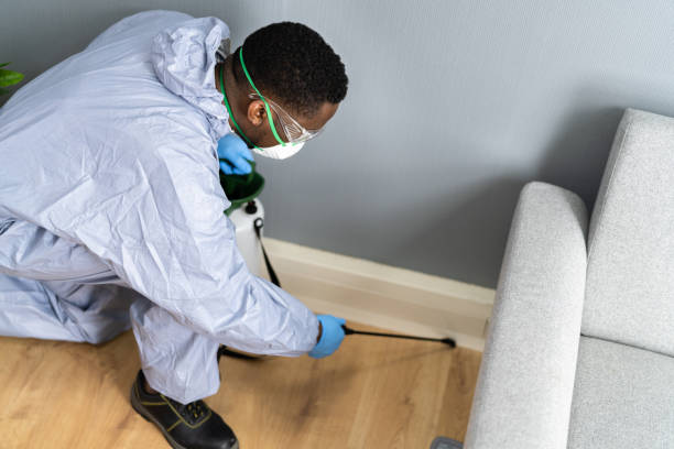 Best Pest Prevention Services  in Roosevelt Park, MI